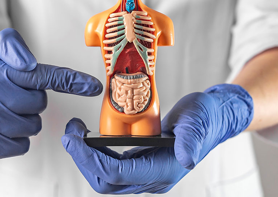 onkolojik hastaliklar 10