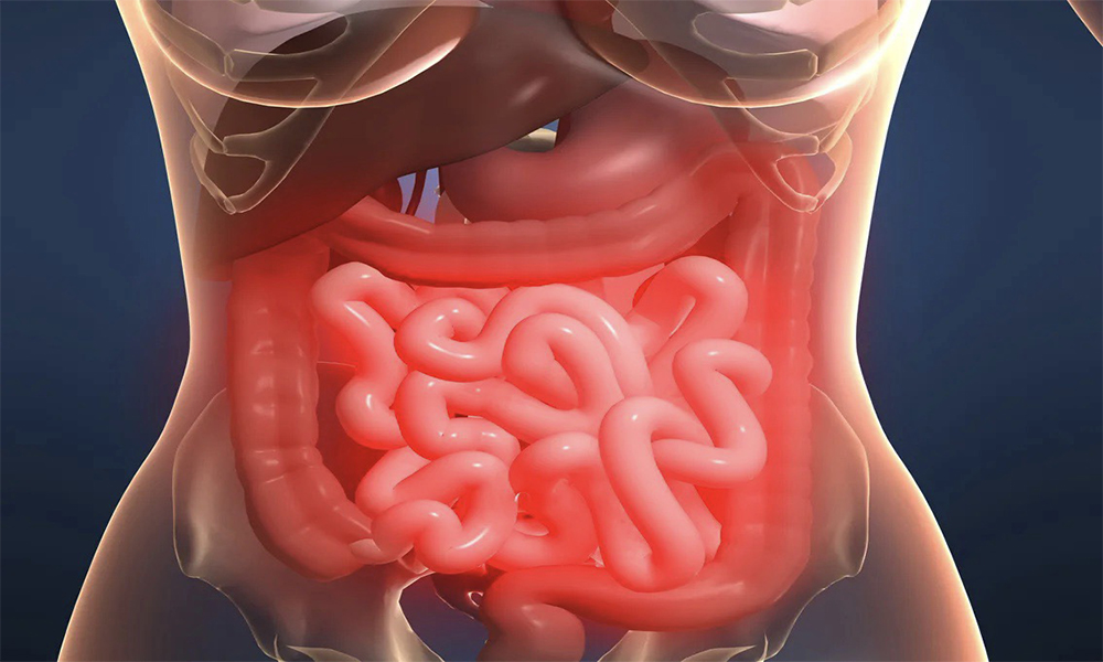 Лечение рака брюшины